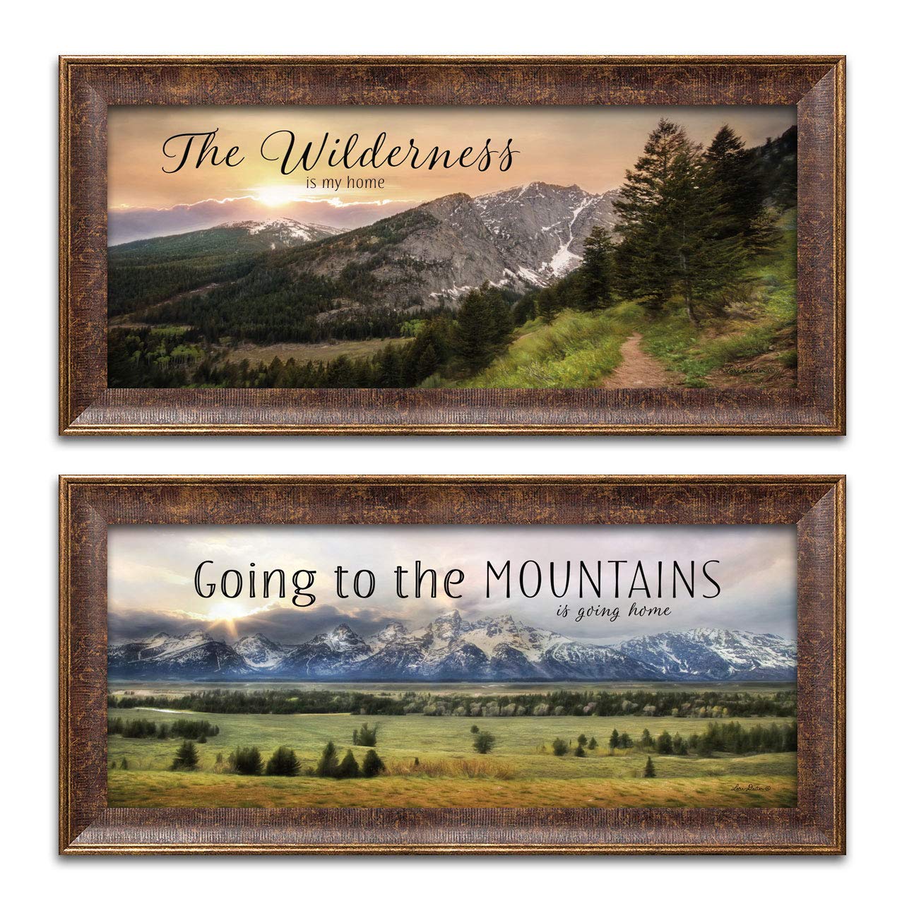 Contemporary Wilderness & Mountain Home Wall Art - Set of Two 18x8 Inch Gold Trim Framed Prints by Lori Deiter (Ready to Hang) - Perfect for Living Room, Bedroom & Office Decor