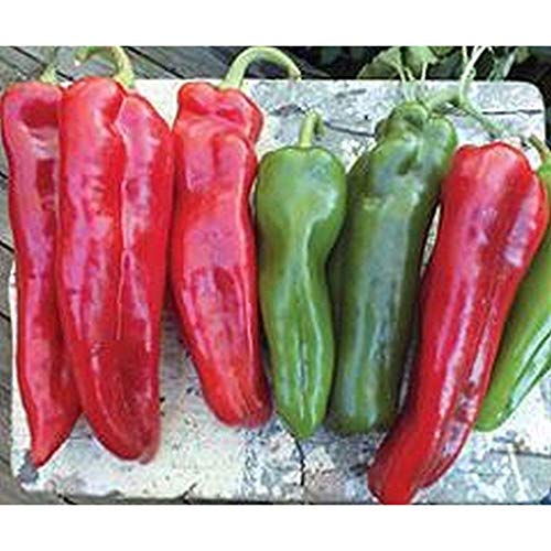 Giant Italian Roaster F1 Hybrid Sweet Pepper Seeds - 30+ Seeds Pack for Home Garden, Greenhouse & Outdoor Planting - Perfect for Fresh Salads, Grilling & Italian Cuisine