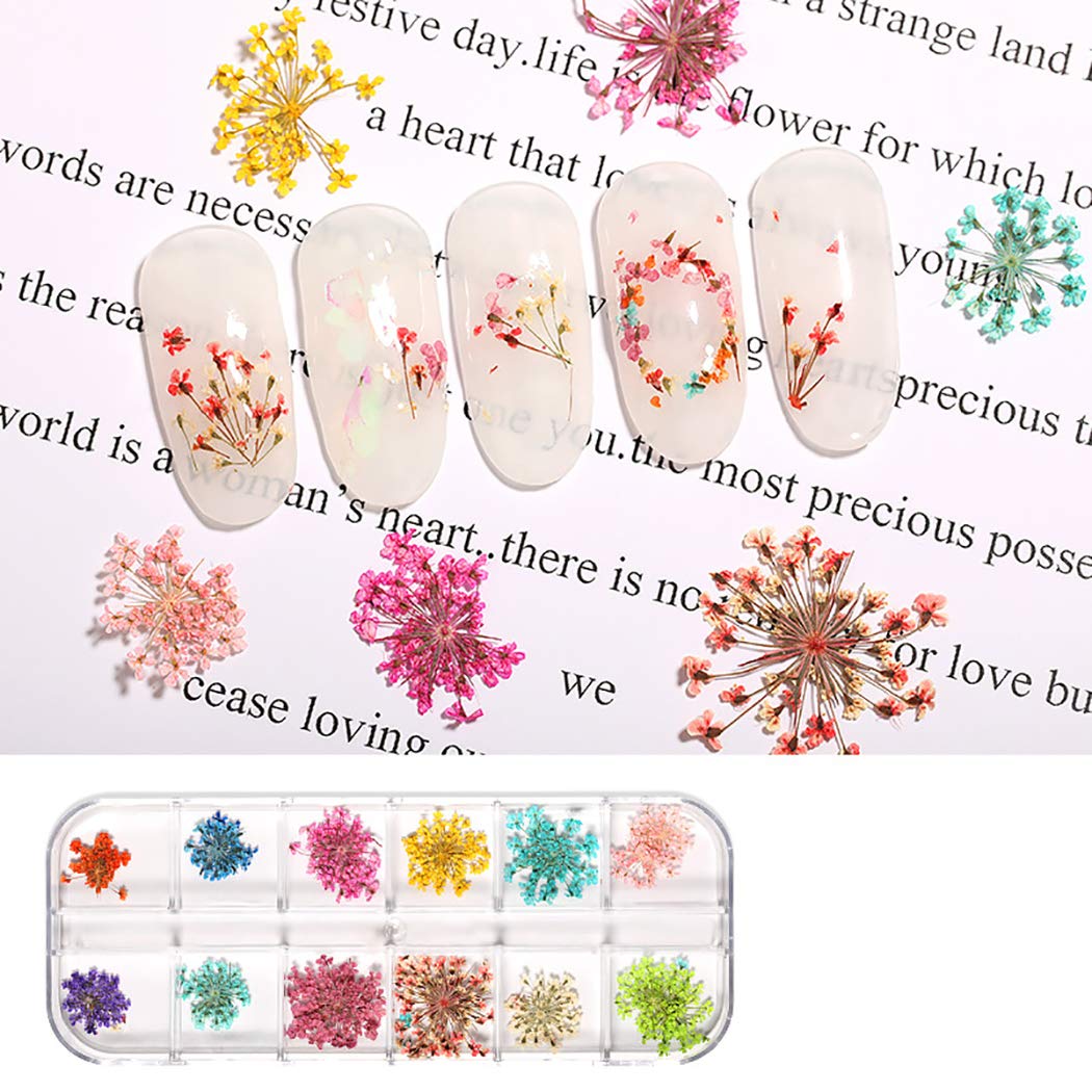 Dorakitten 3 Sets Pressed Dried Flower Nail Art Decorations - Floral Nail Art Supplies & Accessories for DIY Manicure, Wedding, Party Nail Designs