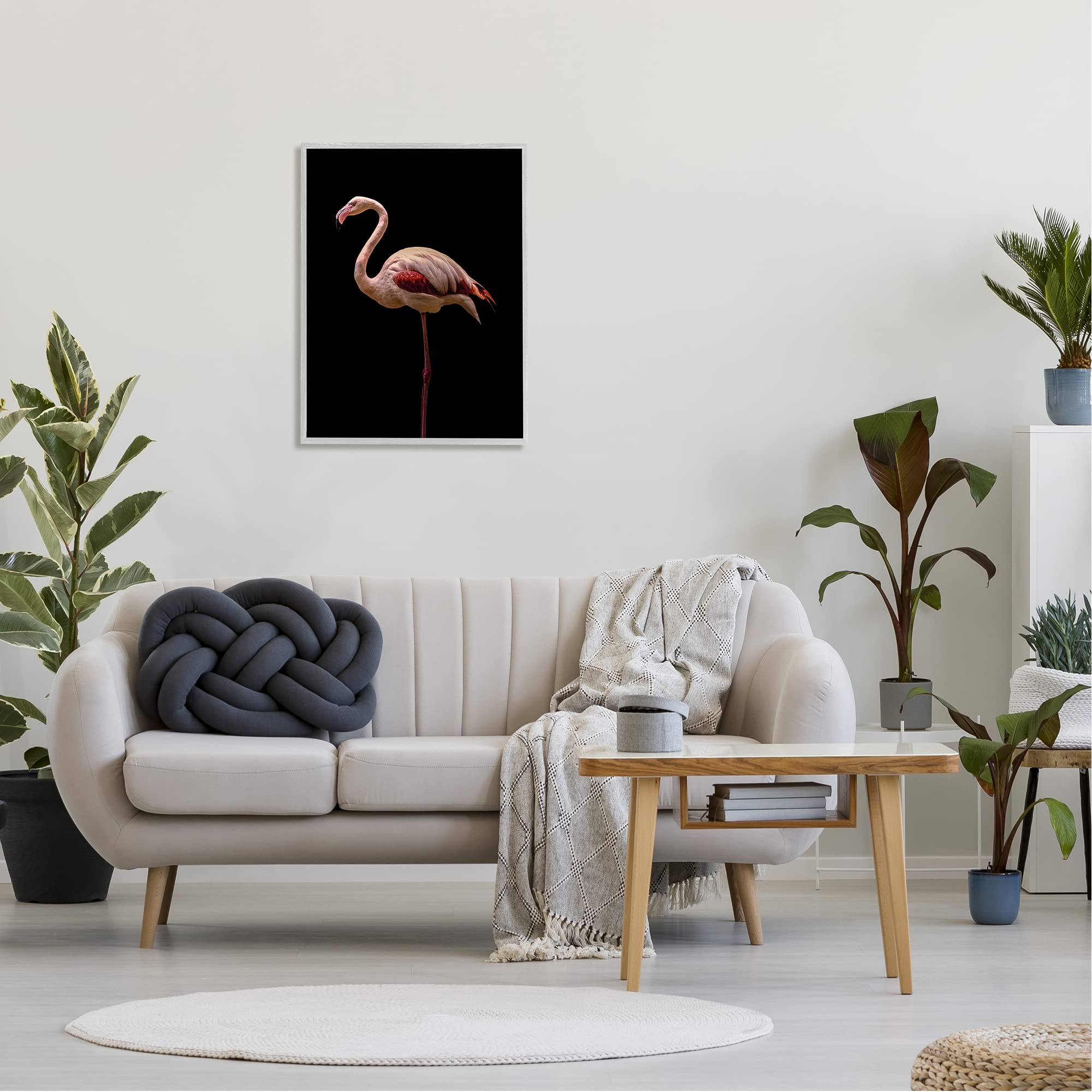 Stupell Industries Pink Flamingo Portrait Wall Art - Detailed Wildlife Photography by Incado - Perfect for Tropical Home Decor, Bathroom Accent & Gift Idea