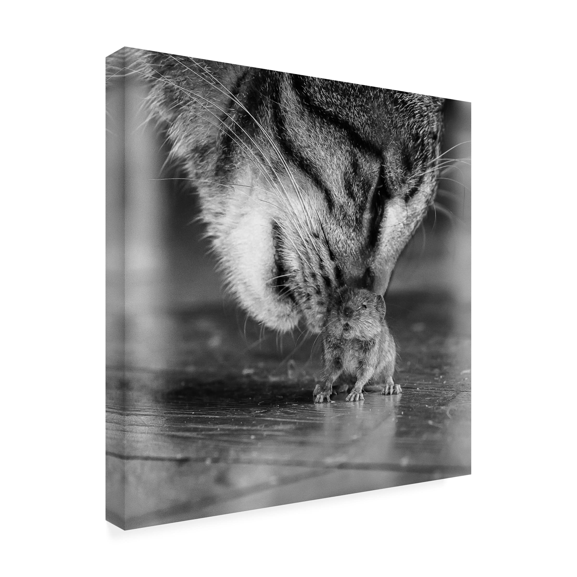 Trademark Fine Art 'Deadly Games' Canvas Wall Art by Pixi - Perfect for Living Room, Bedroom & Office Decor