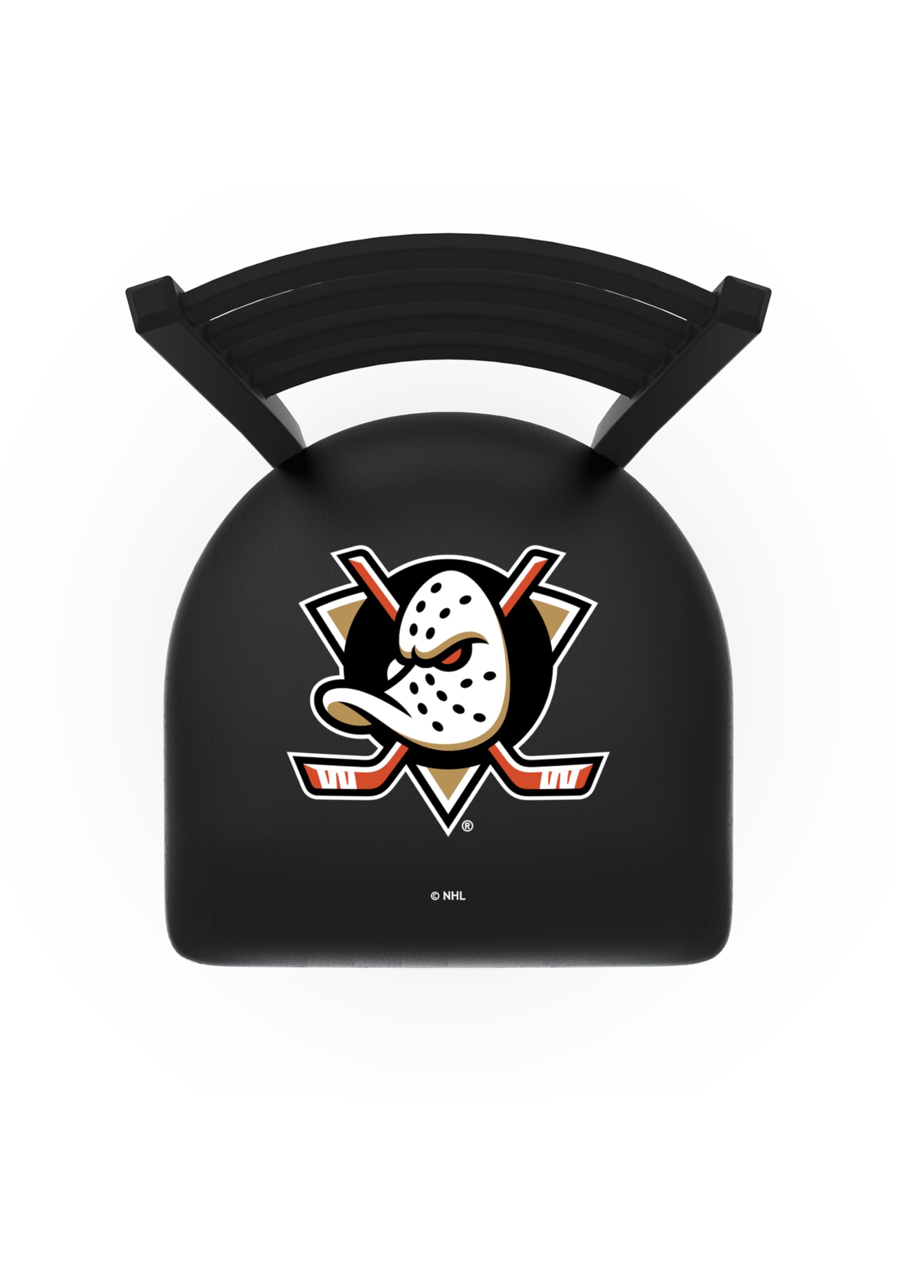 Anaheim Ducks 25