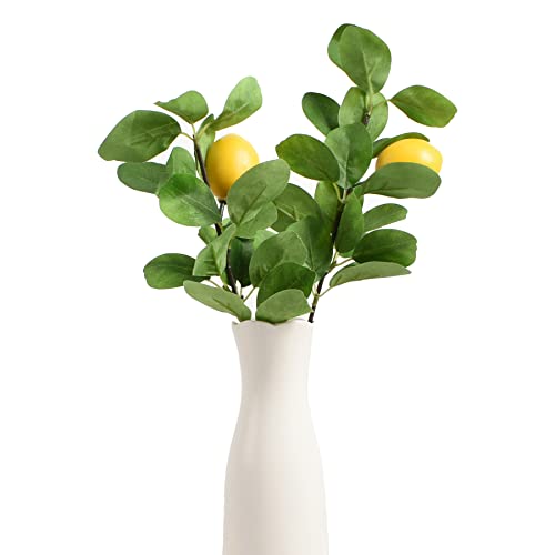 2pcs Mini Lemon Branches