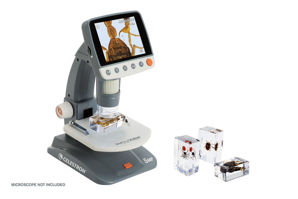 3D Bug Specimen Kit #4 - Realistic Insect Models for Science Education & Home Decor | Perfect for Classroom, Kids Learning & Nature Themed Decorations