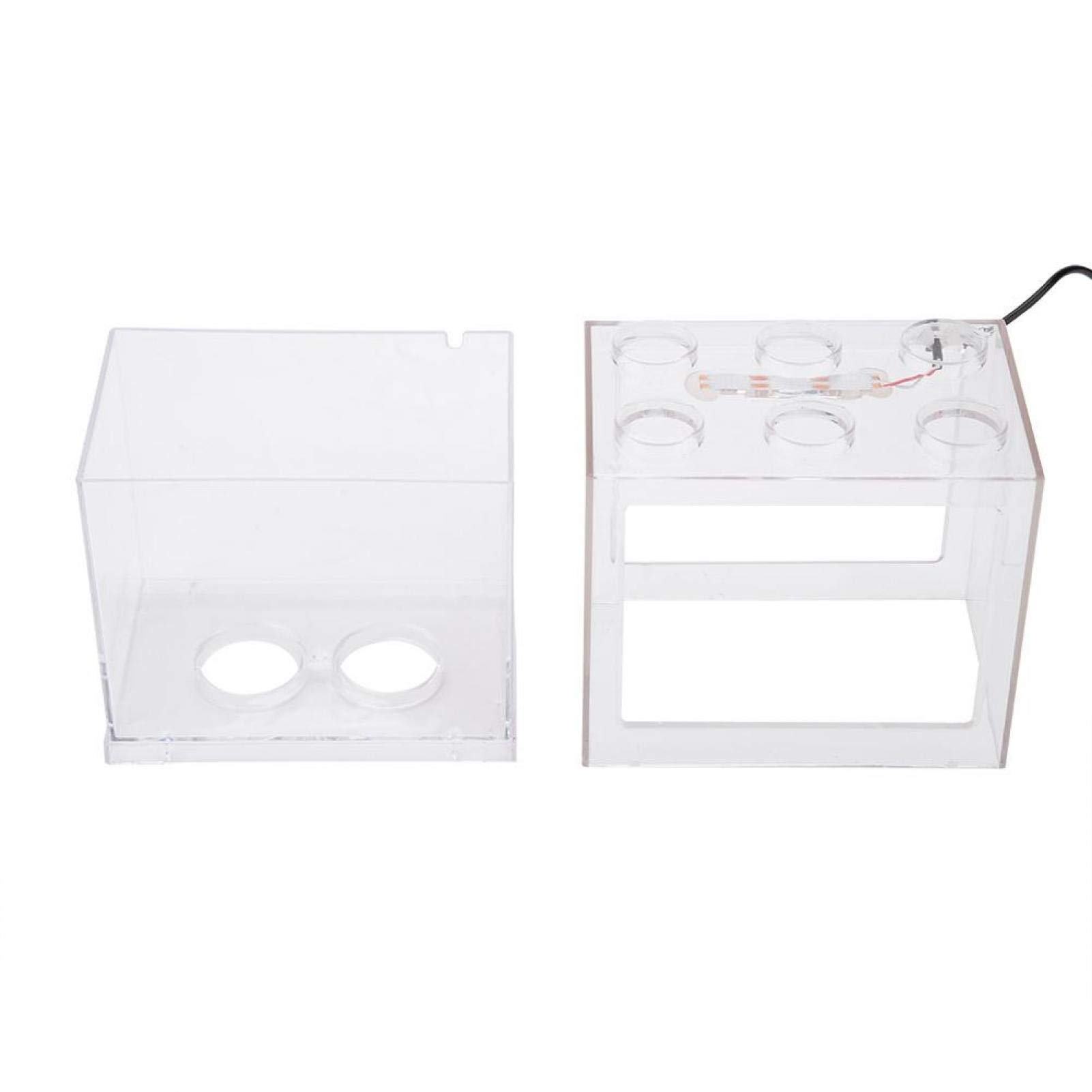 Decorative Mini Aquarium for Home & Office Desk | Small Fish Tank with LED Light | Perfect for Relaxation, Stress Relief & Desktop Decor