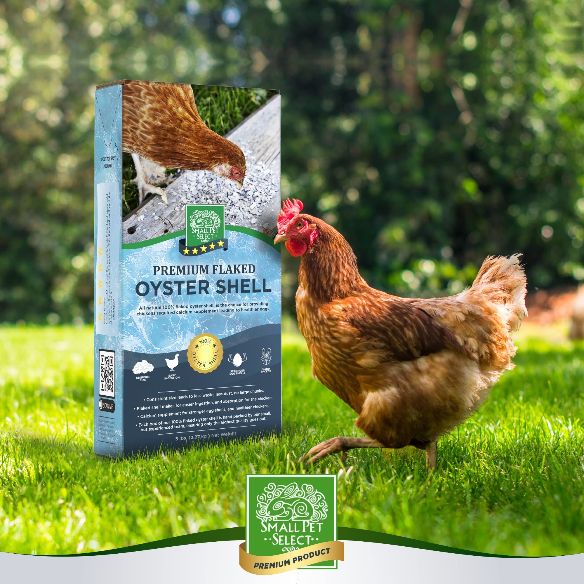 Small Pet Select 100% Flaked Oyster Shell - Calcium Supplement for Chickens & Ducks (5lb) - Poultry Health Boost
