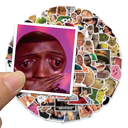 100Pcs Funny Meme Vinyl Stickers Pack - Waterproof Decals for Laptop, Phone, Water Bottle, Hydro Flask & Tech Accessories - Perfect for DIY Customization, Gifts & Personalizing Devices