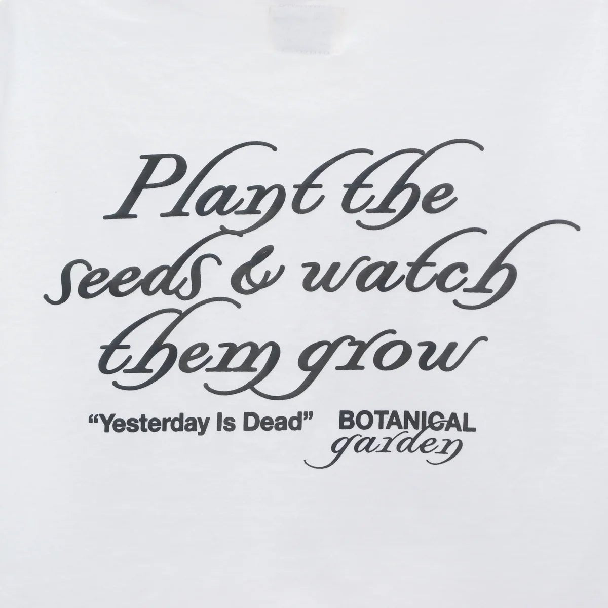 Yesterday is Dead Succulent T-Shirt - Soft Cotton White Graphic Tee for Women | Trendy Cactus Print Top for Casual Wear, Street Style & Summer Outfits