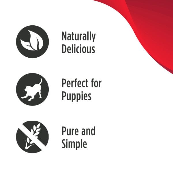 Nulo Freestyle Salmon Recipe Dog Training Treats - High Protein, Grain-Free, All-Natural Rewards for Puppy & Adult Dogs - Perfect for Obedience Training, Behavior Rewards & Positive Reinforcement