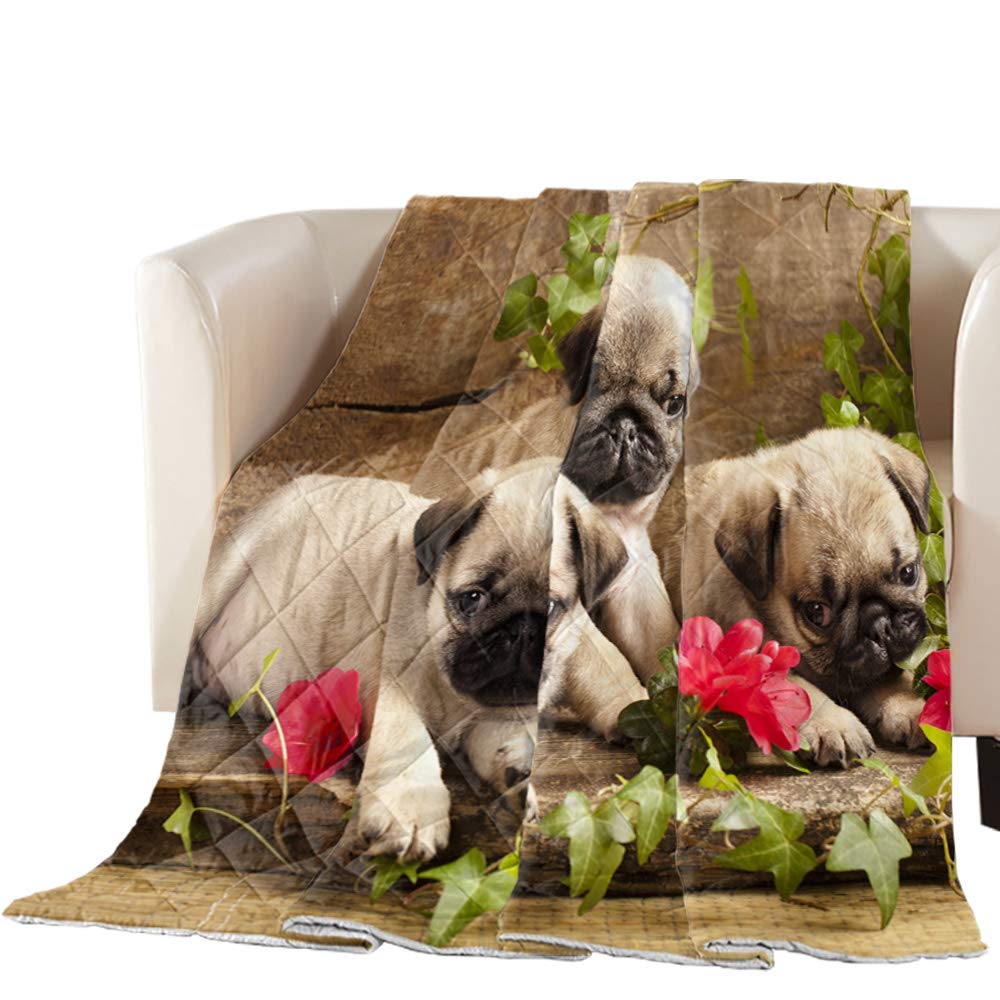 Rose Floral Twin Size All-Season Comforter - Smart Dog Red Rose Design, Summer Bedspread & Quilt for Air Conditioning | Duvet Insert or Standalone Blanket for Bed & Sofa - Cozy Home Decor for Adults & Kids