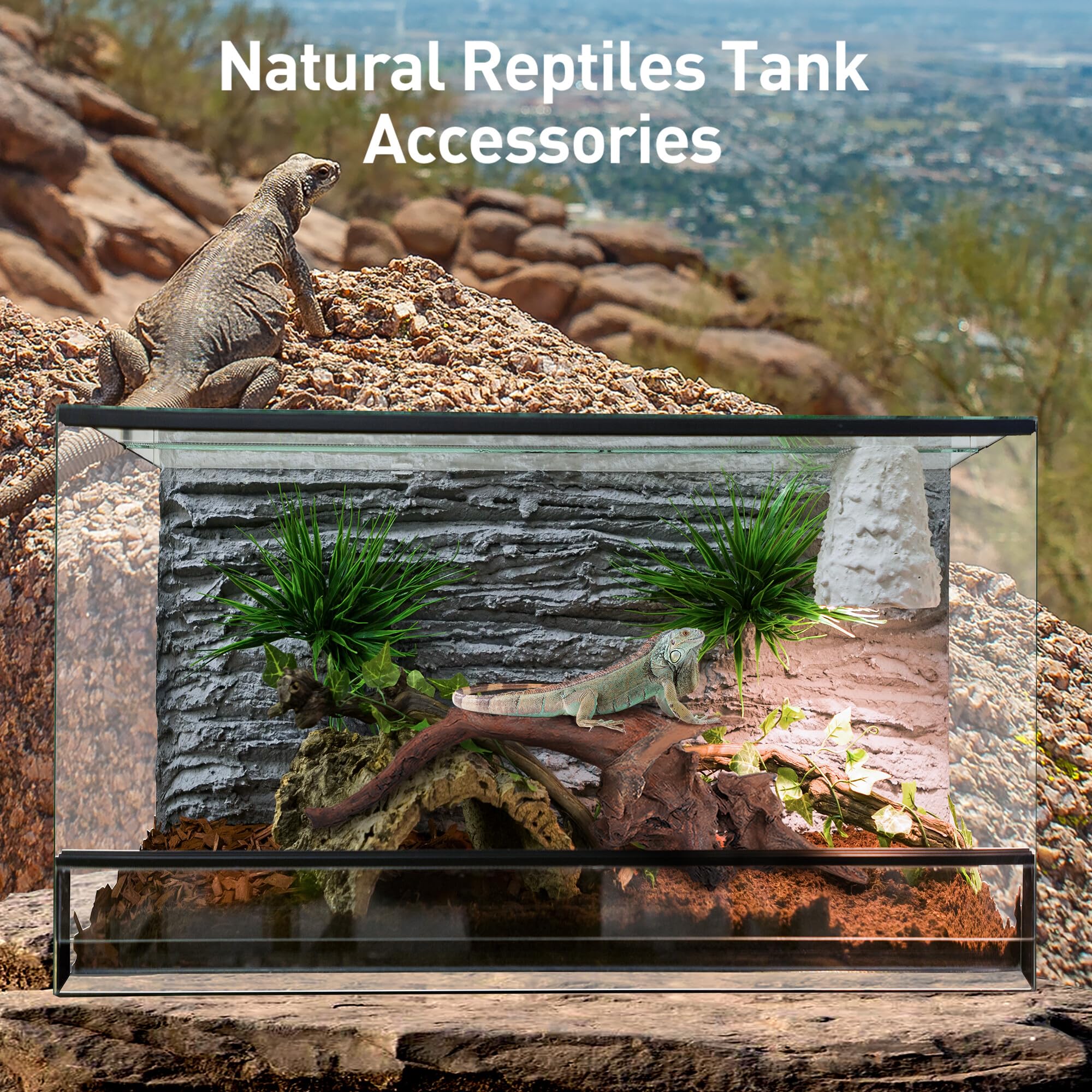 WDEFUN Natural Driftwood for Aquarium Decor - 3-Piece Set (7''-11'') Large Driftwood for Fish Tank, Reptile Terrarium & Air Plants - Perfect for Bearded Dragon Habitats, Aquascaping & Home Décor