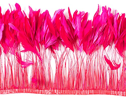 Fuchsia H70