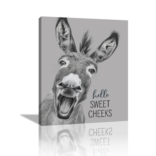 Funny Donkey