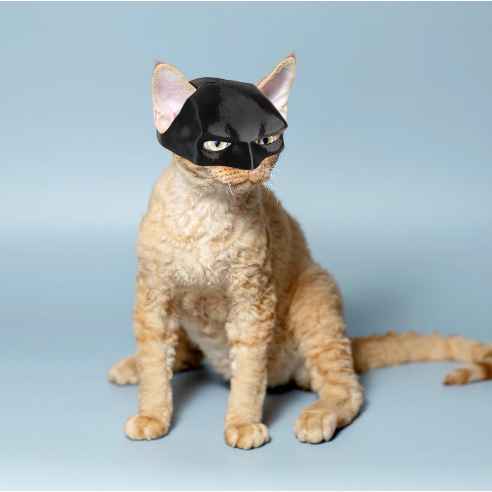 Funny Bat Mask for Cats - Cute Halloween Costume Accessory for Pets | Perfect for Halloween Parties, Dress-Up & Photo Shoots