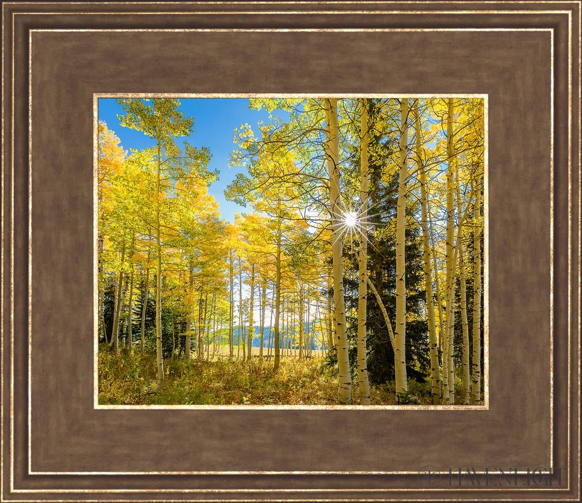 Autumn in the Rocky Mountains - Stunning Fall Foliage at Wasatch National Forest Utah | Perfect for Hiking, Photography & Nature Exploration
