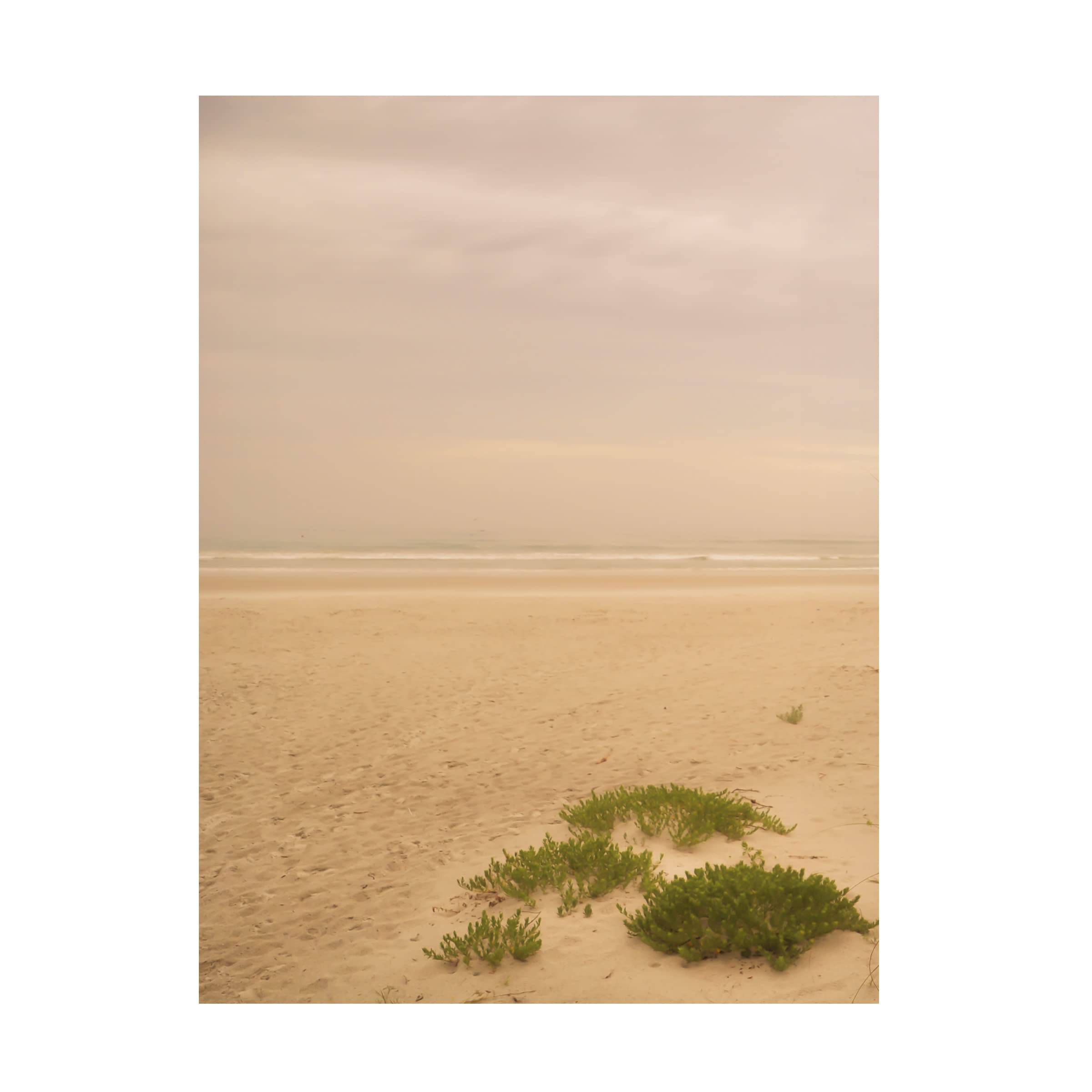 Blue Palomino 'Warm Haze On The Beach I' Canvas Wall Art Print - Coastal Beach Landscape Painting for Living Room, Bedroom & Office Decor