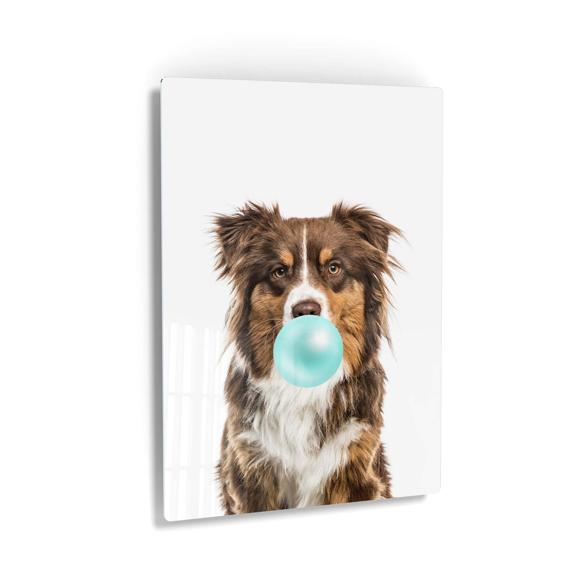 Australian Shepherd Dog Chewing Bubble Gum Metal Wall Art Print - Pet Lover Gift, Pop Art Decor for Living Room, Bedroom, Nursery (24x16) - Perfect for Dog Lovers & Home Decor