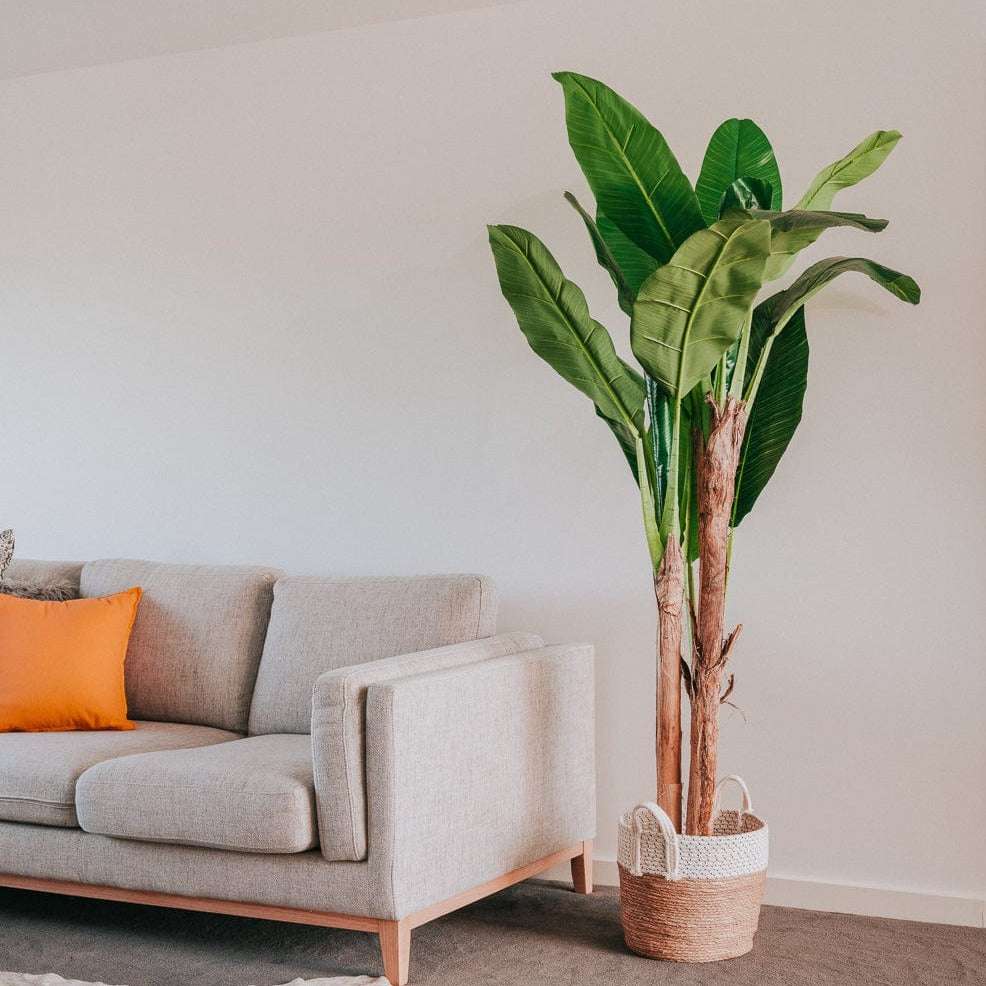 6ft Tall Artificial Banana Tree - Realistic Fake Plant for Home Decor, Office, Living Room, Patio & Indoor Greenery