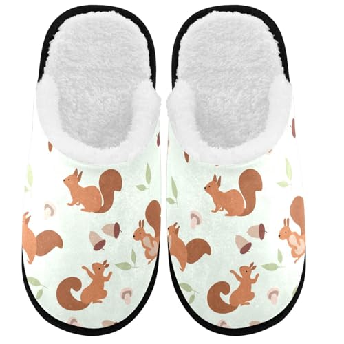 Cartoon Squirrel Nut