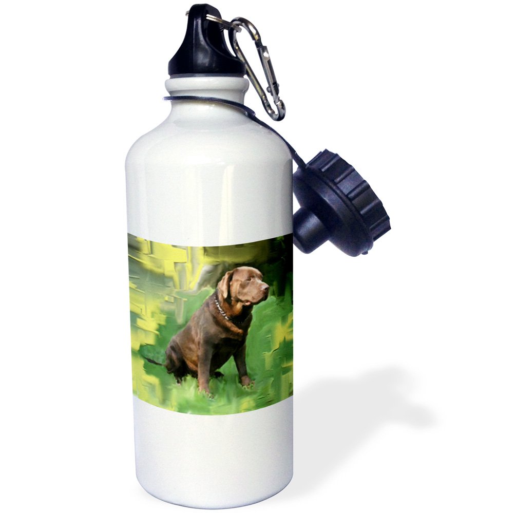 3D Rose White 21 oz Chocolate Labrador Retriever Sports Water Bottle - Insulated Stainless Steel Leakproof Design for Gym, Hiking & Outdoor Activities