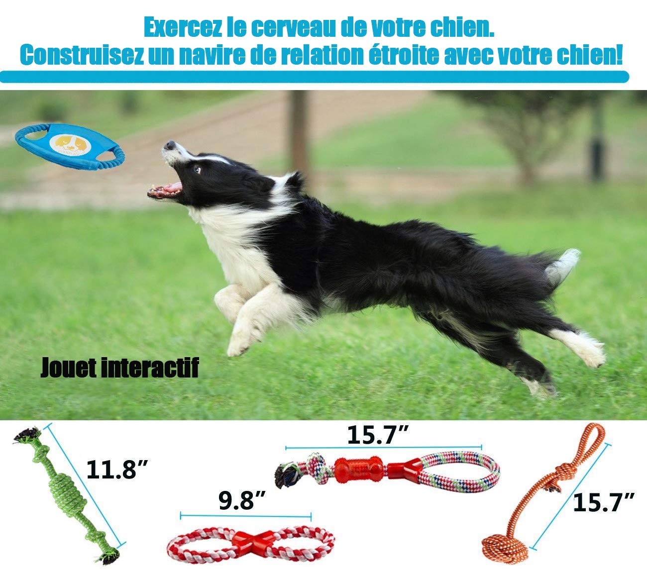 **FONPOO Durable Dog Chew Toys for Small & Medium Dogs - 10-Piece Rope Toy Set for Anxiety Relief & Boredom Prevention - Perfect for Training, Playtime & Birthday Gifts (Blue)**    *Use Cases: Great for interactive play, teething puppies, indoor/outdoor fetch, and keeping dogs entertained during alone time.*