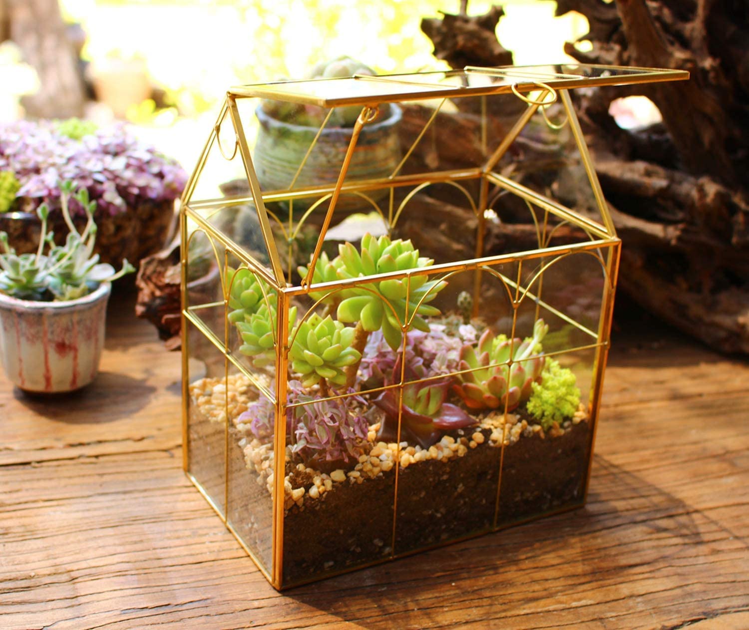 Glass Geometric Plant Terrarium for Succulents & Air Plants - Home, Office & Garden Decor (Gold House) | Perfect for Indoor Greenery, Wedding Centerpieces & Modern Interior Design