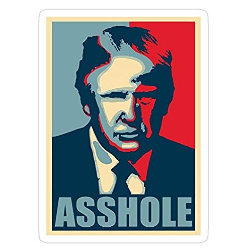 Anti-Trump Decal Sticker - Political Car Window Sticker for Cars, Trucks, Laptops & Walls - Waterproof Vinyl Bumper Sticker for Outdoor Use - Express Your Political Views