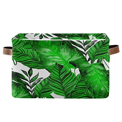 Palm Leaves