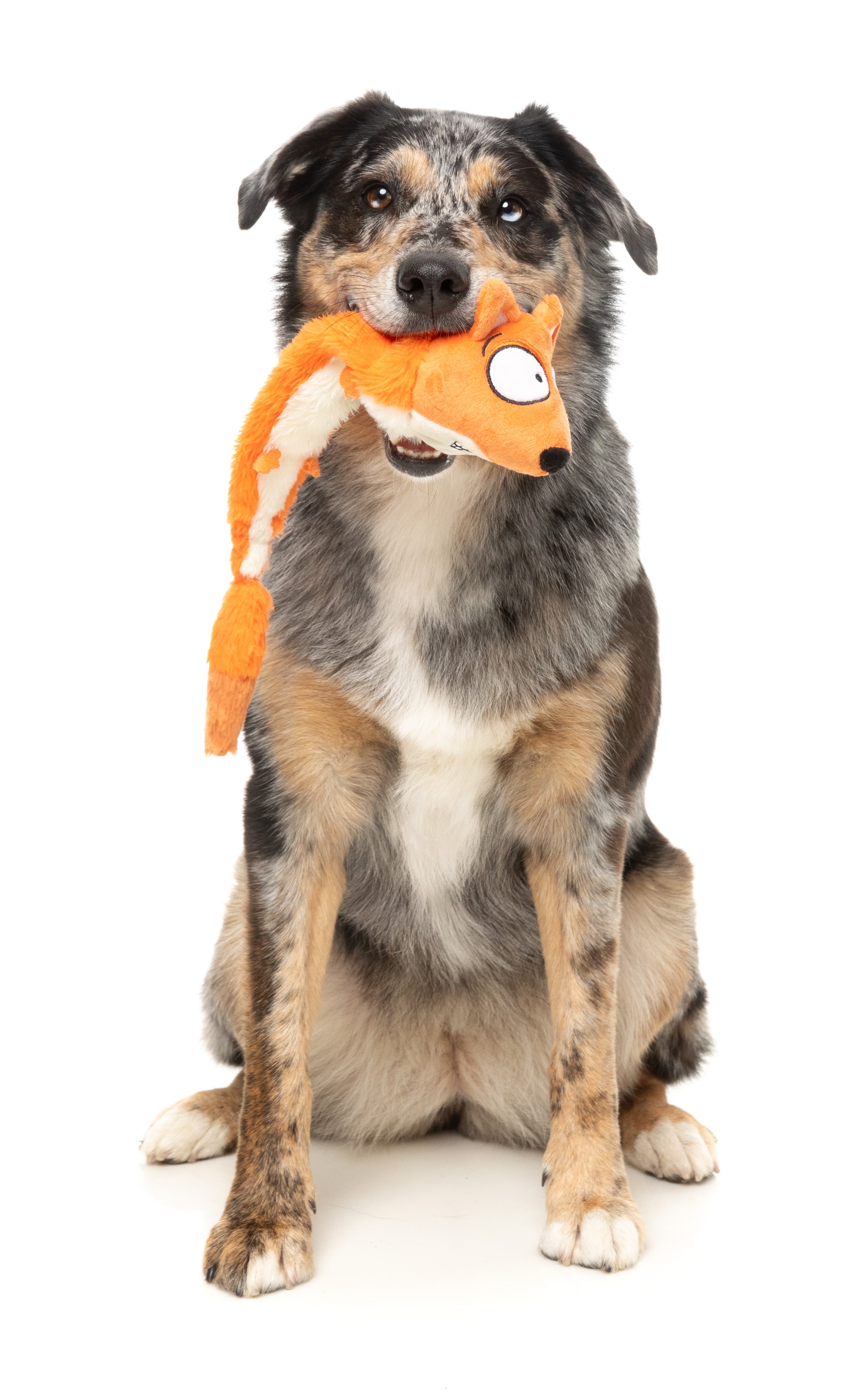 FuzzYard The Yeetz Swing and Throw Plush Dog Toy - Interactive Soft Chew Toy for Small & Medium Dogs - Perfect for Fetch, Tug-of-War & Indoor/Outdoor Playtime (Farewell Fox Design)