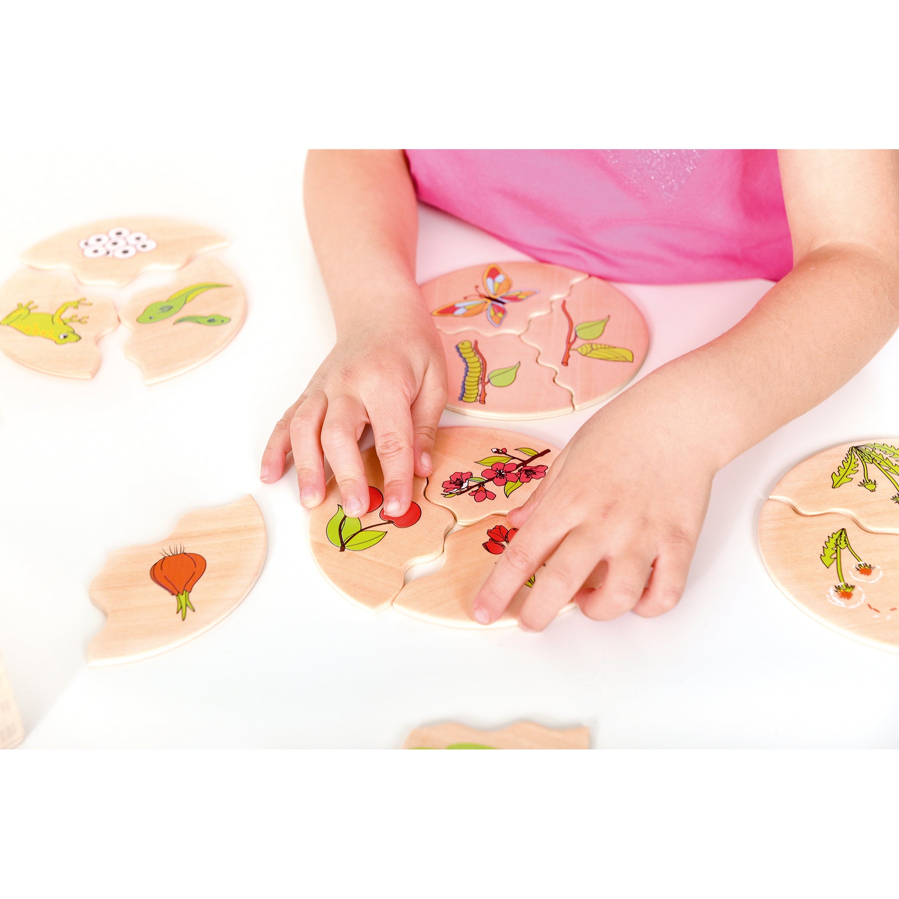 Beleduc Nawito 10 Pack Evolution Wooden Puzzles - 30 Piece Educational Toy for Kids | Perfect for Preschool Learning, Montessori Activities & Family Game Night