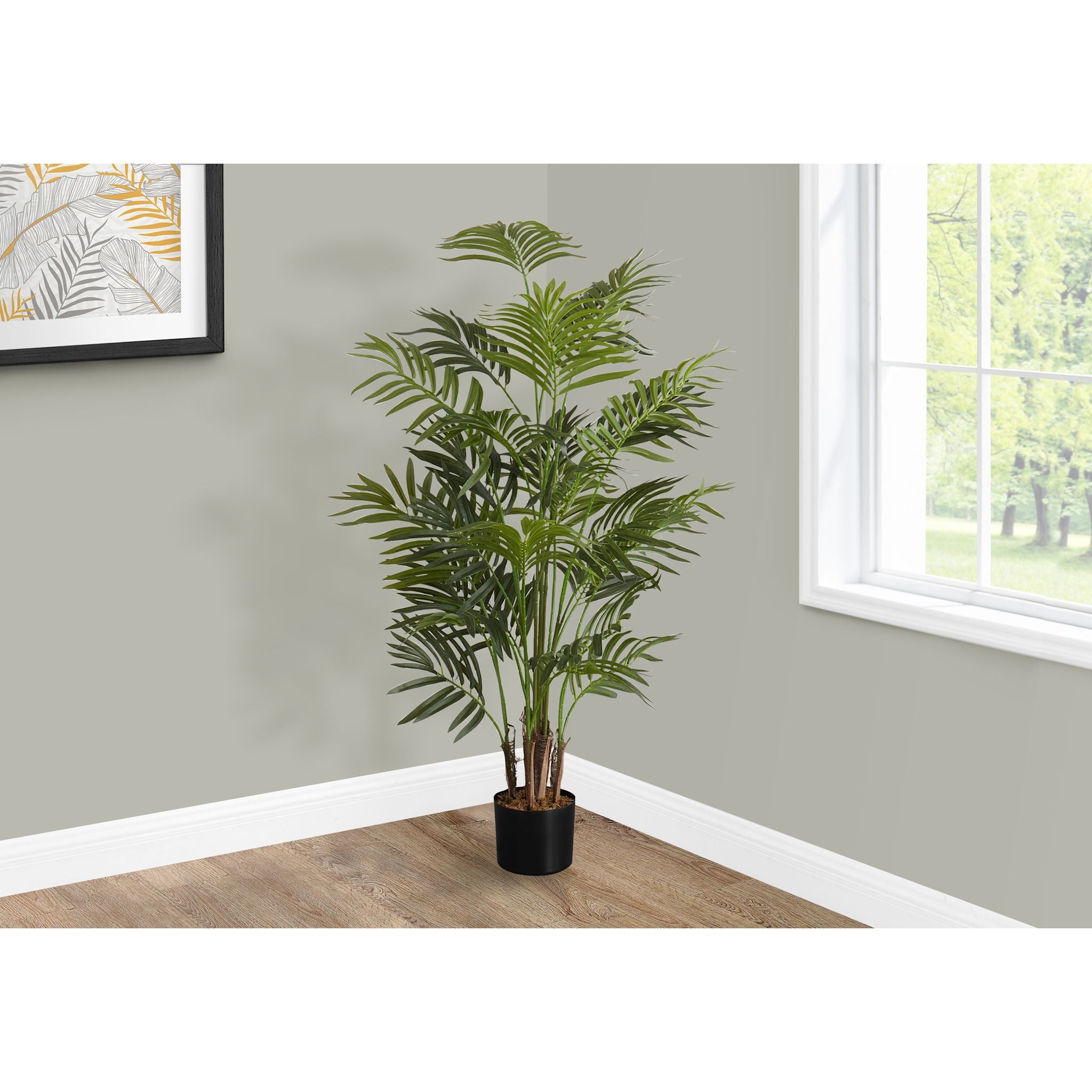 Areca Palm Tree - Indoor & Outdoor Live Plant for Home, Office, and Garden Decor | Perfect for Air Purification and Tropical Landscaping