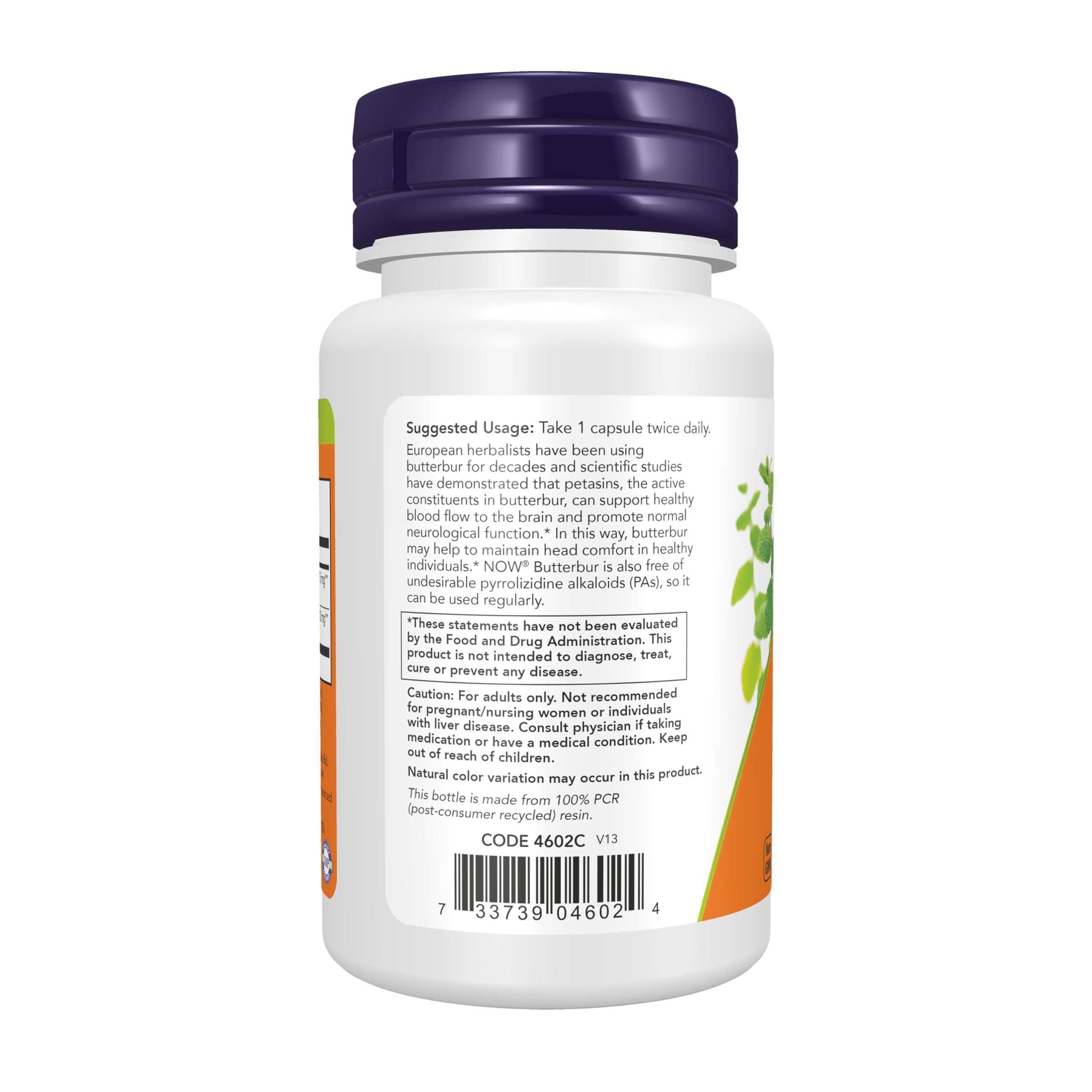 NOW Foods Butterbur Extract 60 Veggie Capsules (2-Pack) - Natural Migraine & Allergy Relief Supplement for Adults - Supports Sinus & Respiratory Health