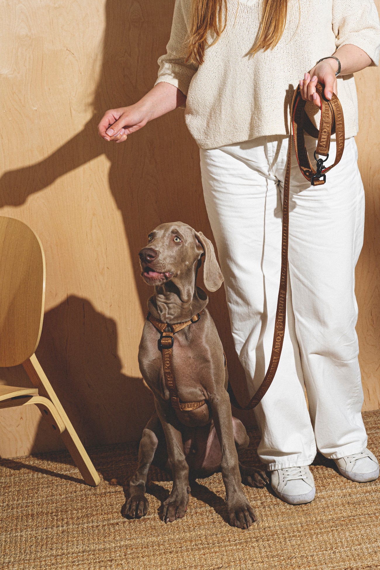**Comfy Walk Kit for Dogs - Adjustable Harness & Leash Set in Ginger - Perfect for Walking, Training, and Outdoor Adventures**