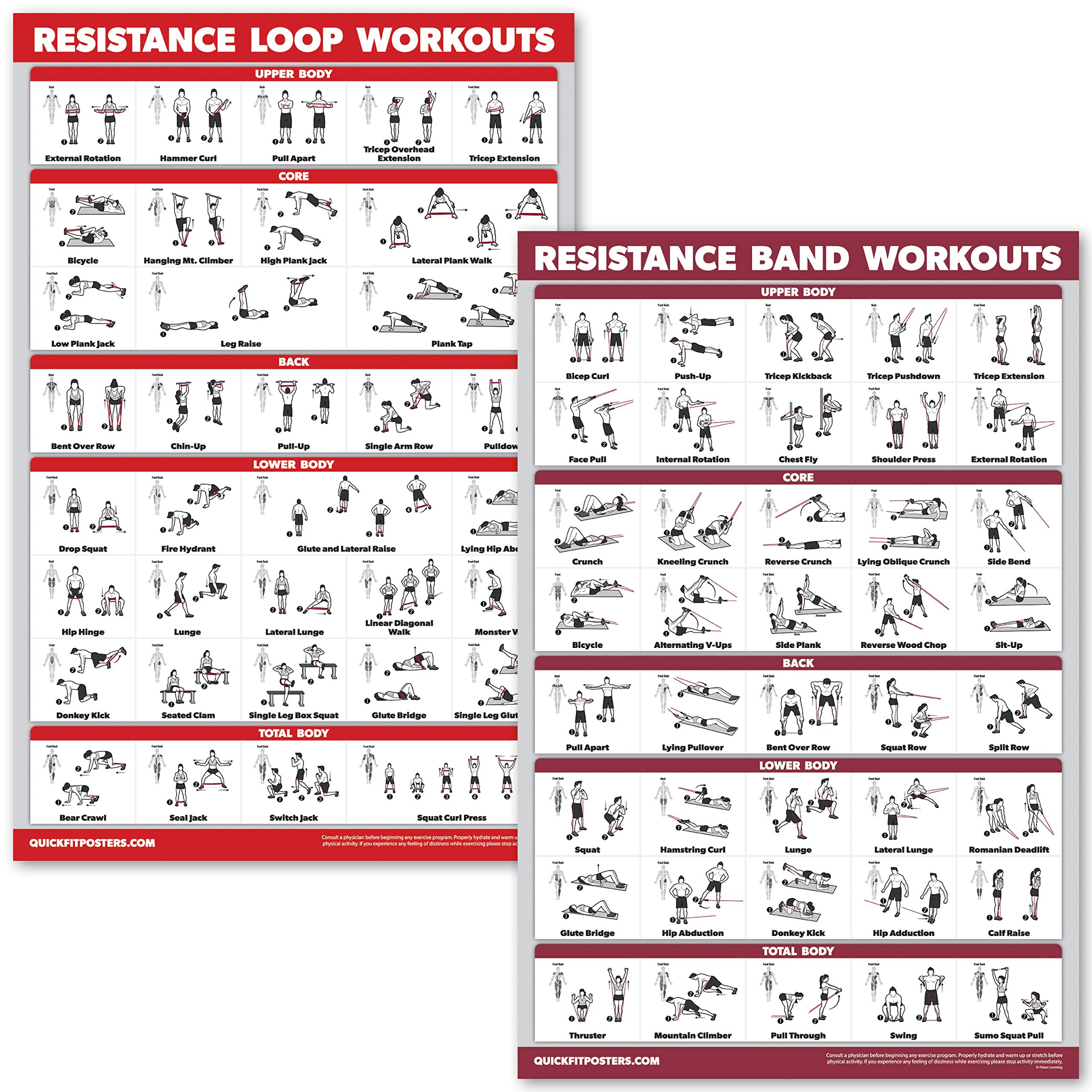 QUICKFIT 2 Pack Resistance Bands & Loops Set with Laminated Workout Posters (18