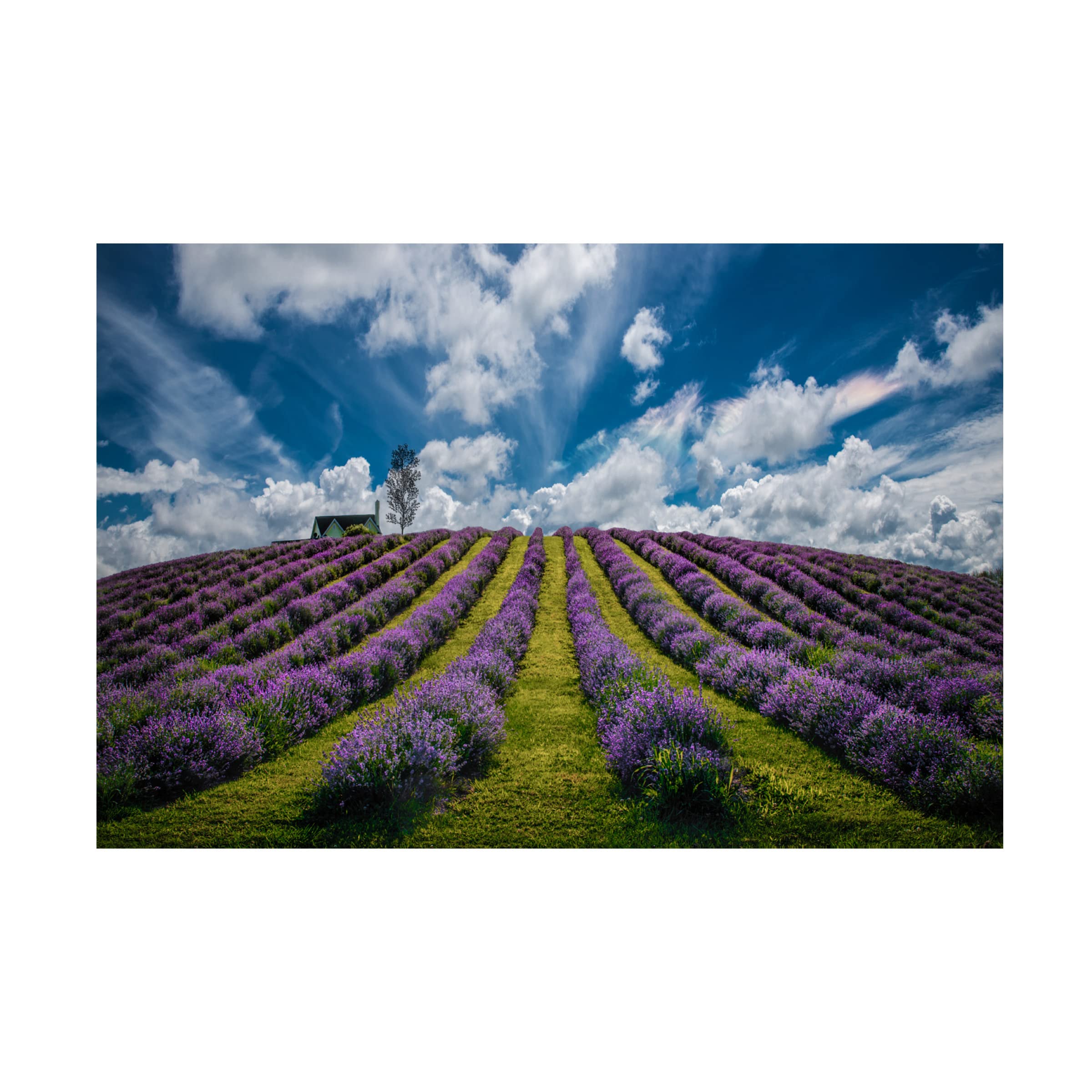 Trademark Fine Art 'Unforgettable Summer' Canvas Wall Art by Zoran Dujic LightHunter - Vibrant Beach Landscape Painting for Living Room, Bedroom & Office Decor