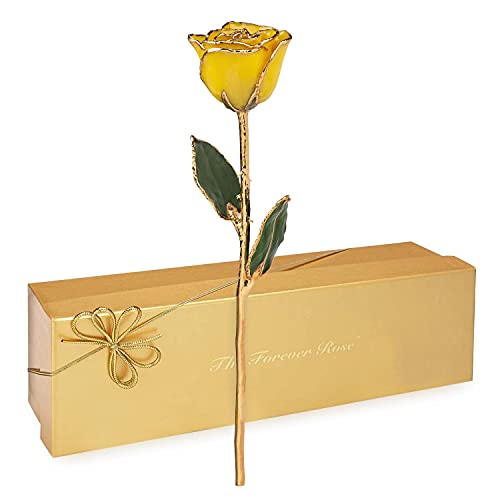 Real Yellow Rose