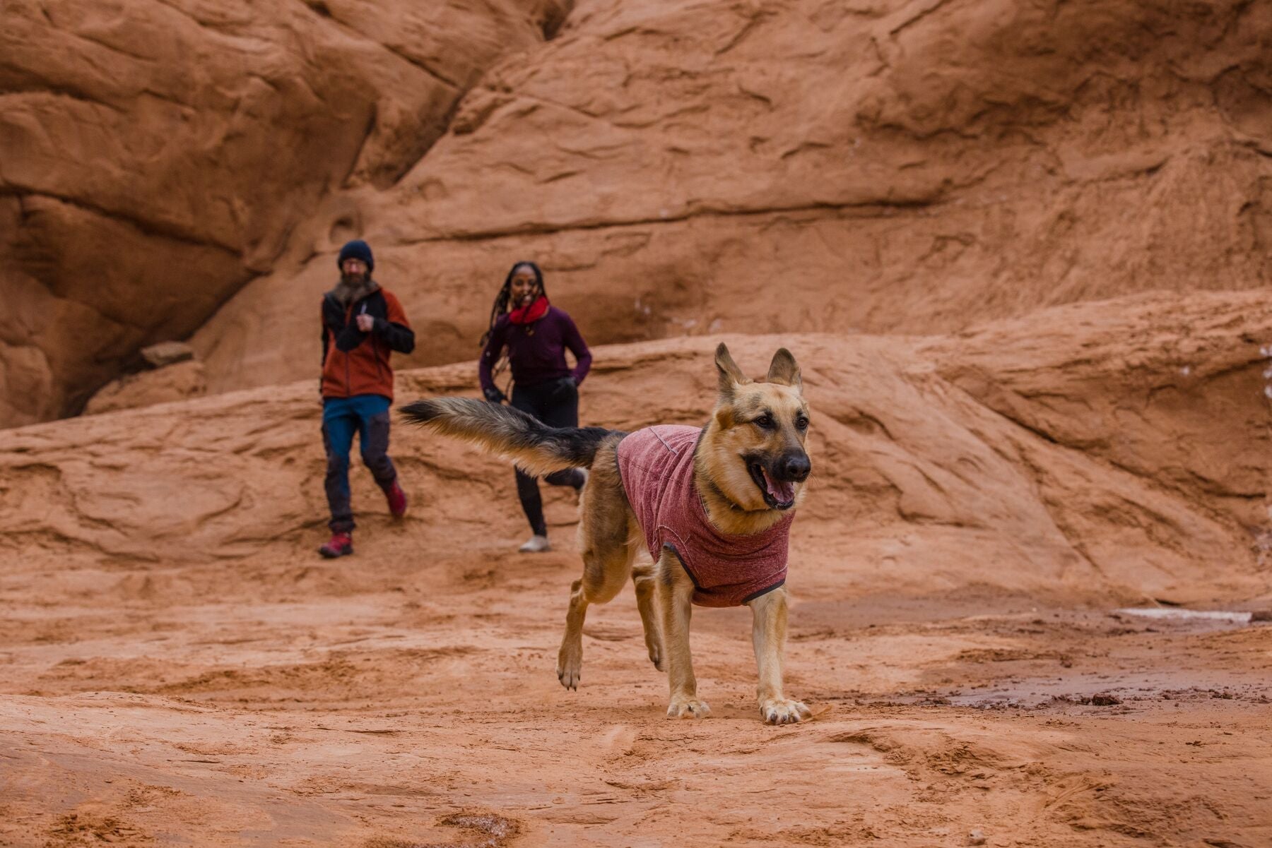 Ruffwear Hemp Hound Knit Dog Sweater - Slate Blue | Warm & Durable Hemp Blend | Perfect for Cold Weather Walks & Outdoor Adventures