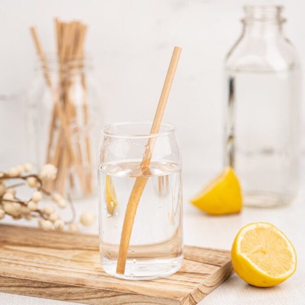Eco-Friendly Light Brown Paper Straws 24 Pack - Biodegradable & Compostable Drinking Straws for Parties, Restaurants, and Home Use
