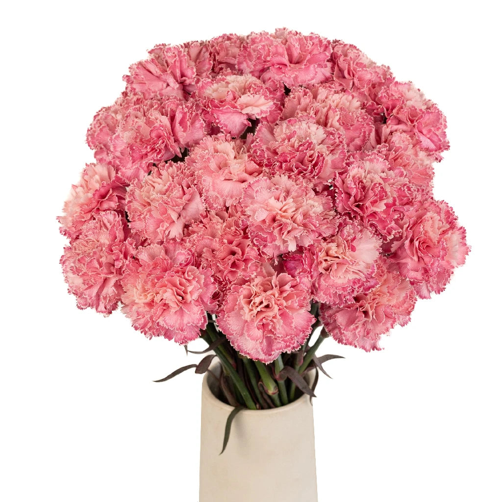 Pink Carnation Flowers for Baby Shower Decorations - Perfect for Nursery, Gender Reveal Party & Newborn Photography Backdrop