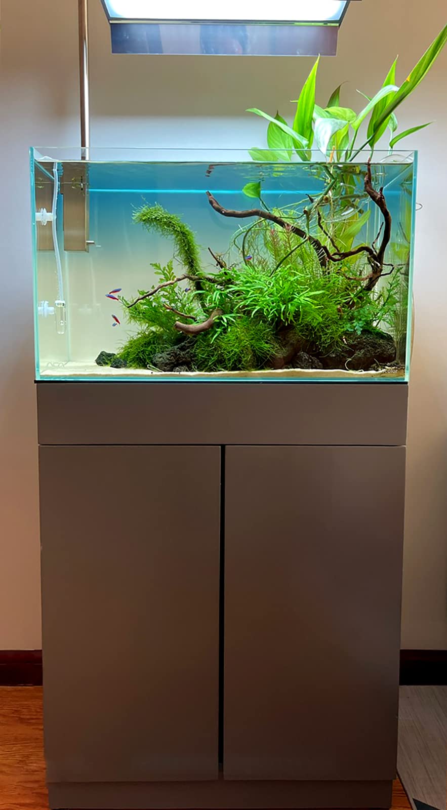 Ultra Clear Rimless Aquarium Tank 2-22 Gallons Low Iron Glass (21 Gallon) - Premium Fish Tank for Home/Office Decor, Nano Reef or Freshwater Aquascaping