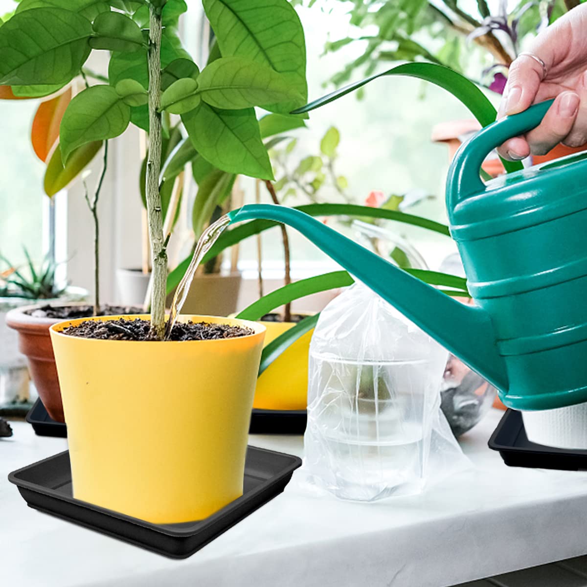 10 PCS 7-Inch Square Plastic Plant Saucers - Thick Drip Trays for Flower Pots, Garden Planters & Potted Plants | Water & Soil Protection | Indoor/Outdoor Use (Black)