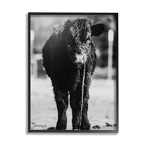 Black Framed