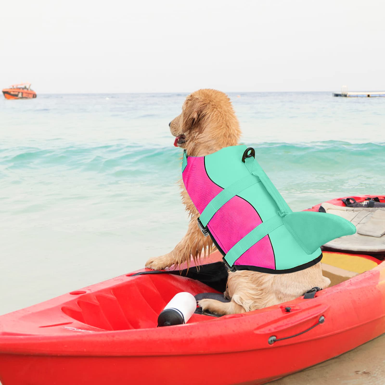 Malier Dog Life Jacket - High Buoyancy Ripstop Dog Life Vest for Swimming & Boating - Shark Puppy Lifesaver with High Visibility for Small, Medium & Large Dogs (Small) - Perfect for Pool, Beach & Water Sports Safety