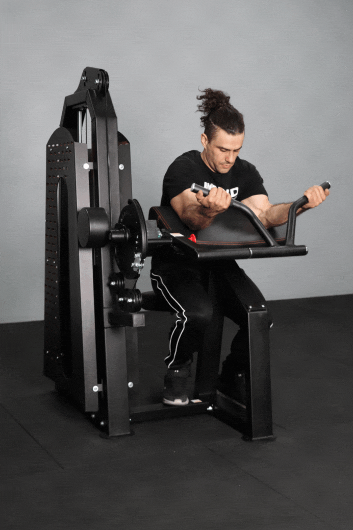 Commercial Body Iron Bicep & Tricep Curl Extension - Heavy Duty Gym Equipment for Home & Commercial Workouts