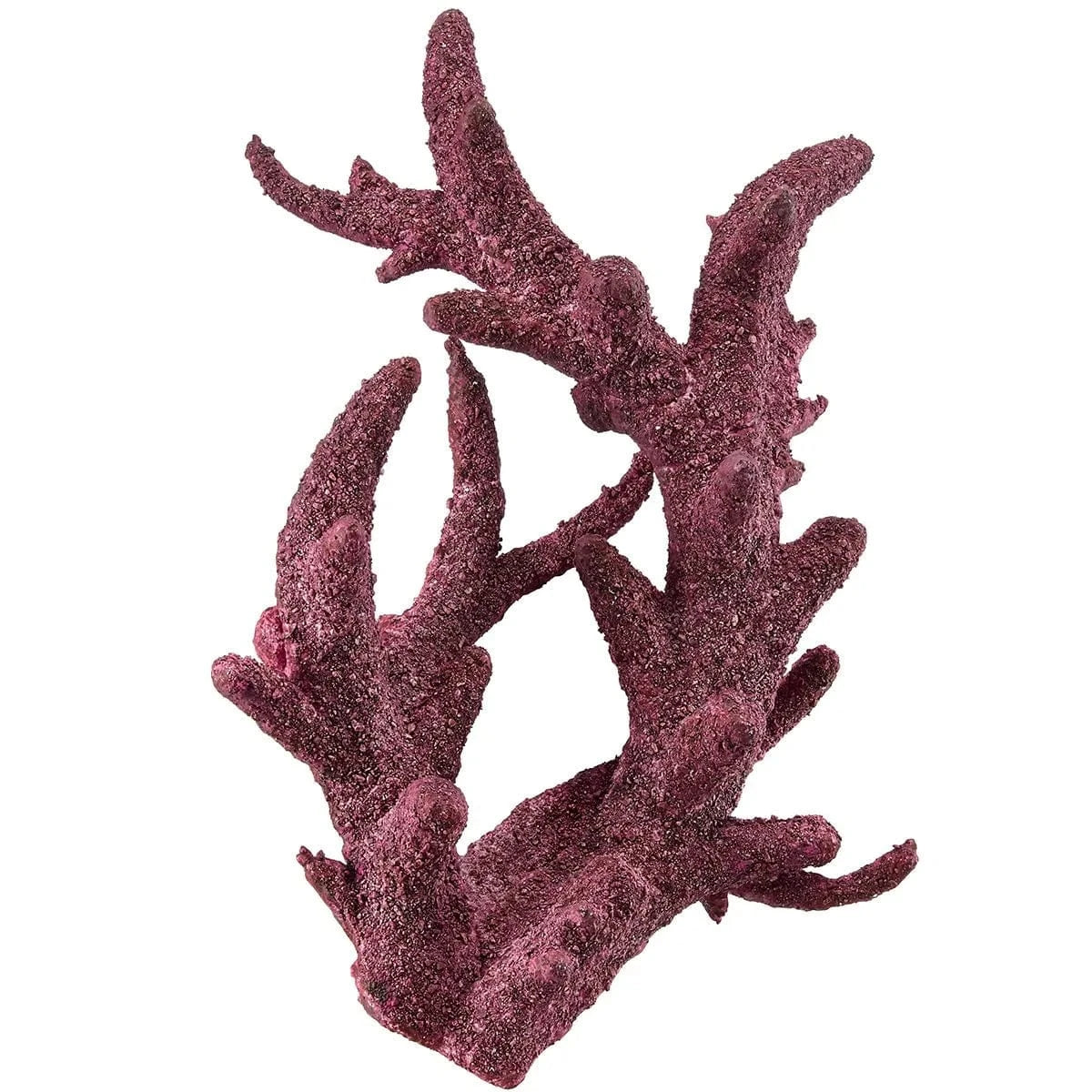 Premium Real Reef Branch Rock - 30 lbs Box for Saltwater Aquariums | Natural Coral Decor for Marine Tanks, Fish Habitats & Reef Aquascaping