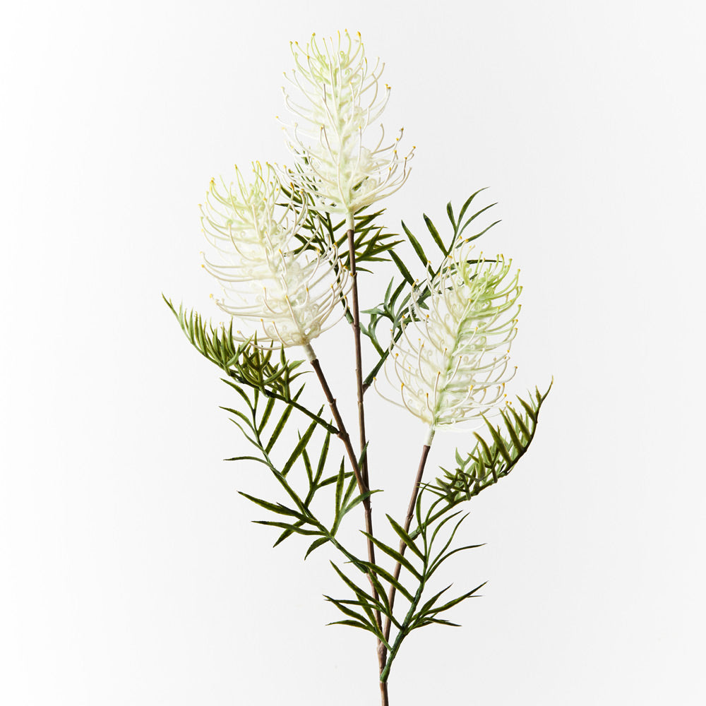 White Grevillea Spray - Fresh Floral Bouquet for Weddings, Home Decor & Special Occasions