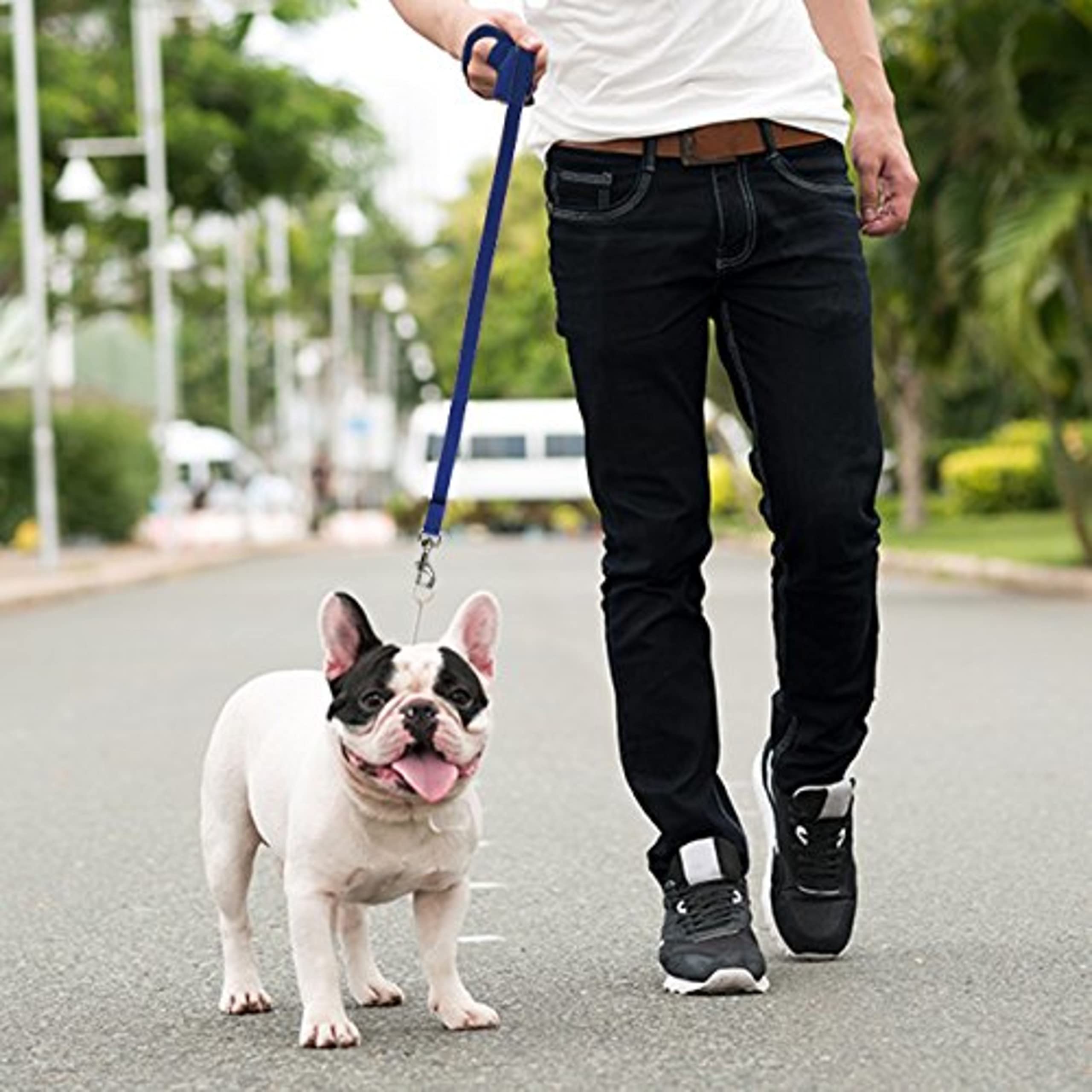 Downtown Pet Supply 15ft Blue Nylon Dog Leash - Long Training Leash for Recall & Obedience - Durable Outdoor Walking, Hiking & Park Training Tool