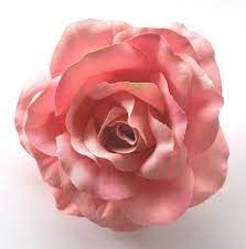 Artificial Rose Hair Clip - Pink Floral Hair Accessory (Pack of 1) for Women, Girls, Bridal, Wedding, Party & Everyday Wear