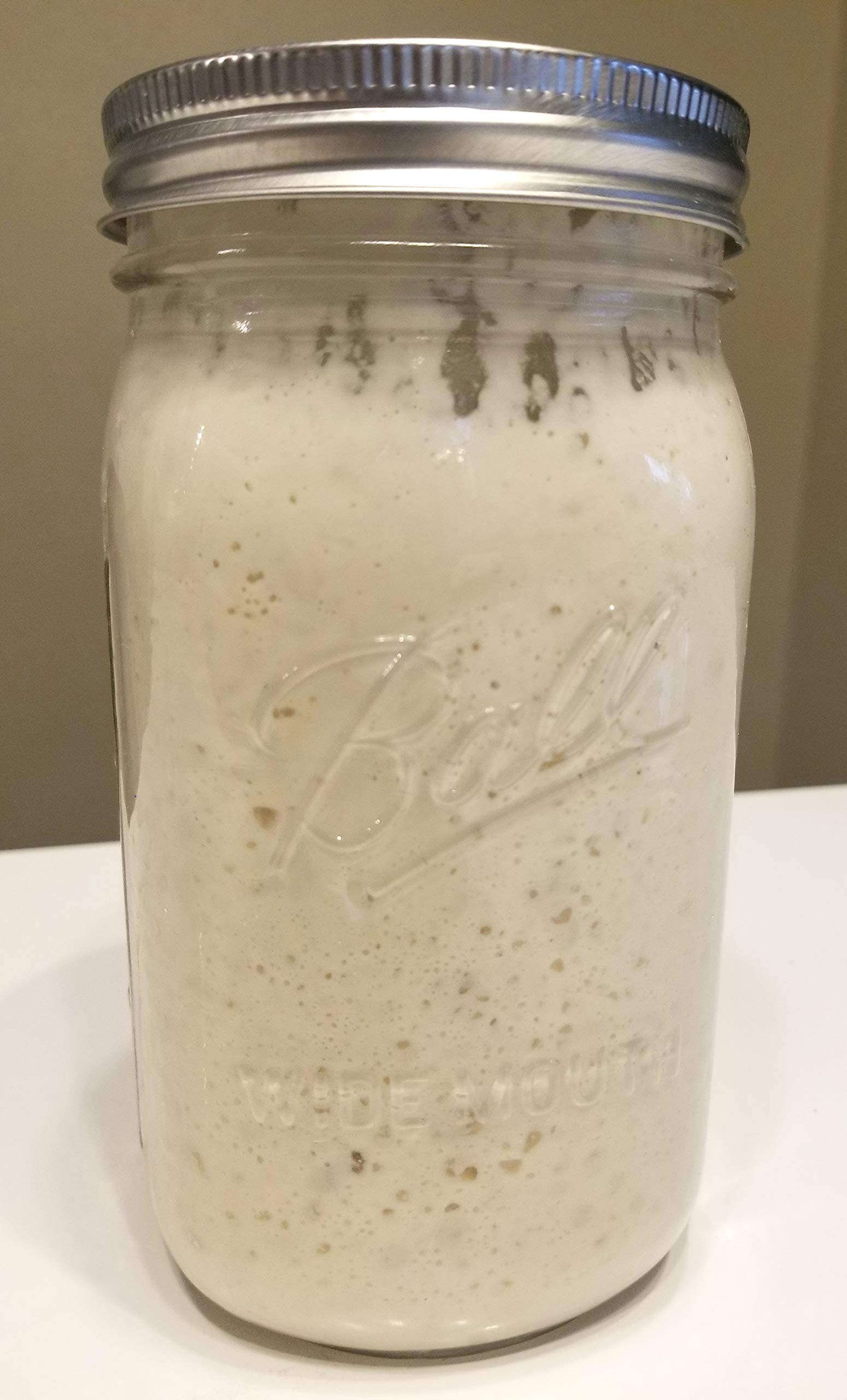 Organic Wild Wheat Sourdough Starter - Dehydrated & Dried Sourdough Culture for Homemade Bread Baking | Artisan Sourdough Bread Starter Kit | Perfect for Beginners & Bakers | Use for Rustic Loaves, Pizza Dough & Pastries