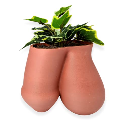 Terracotta